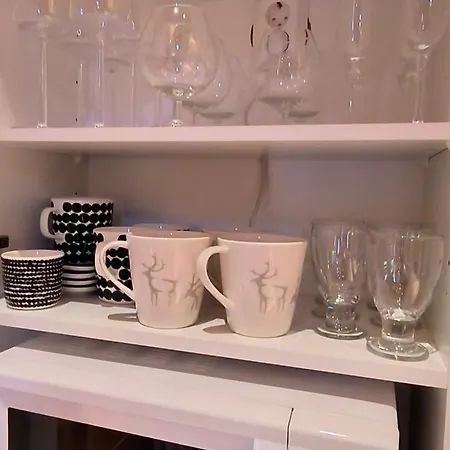 Parimoekki Kaarni - 1km Yllaeksen Rinteisiin Ylläsjärvi